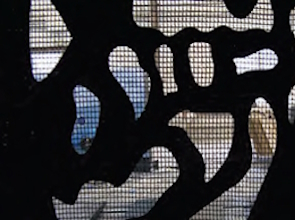 Net & Mesh Fabrics