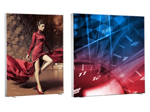 SEG Frames