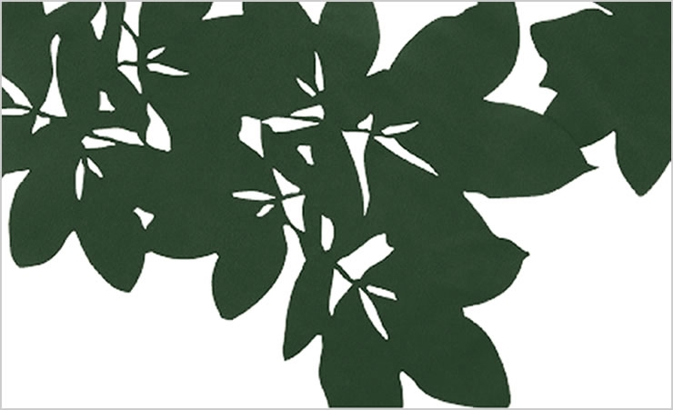 green design of hickory leaves
