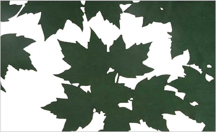 green design of maple leaves